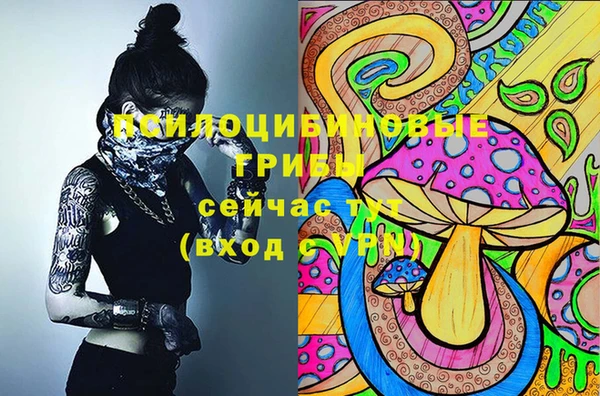 каннабис Нефтекумск