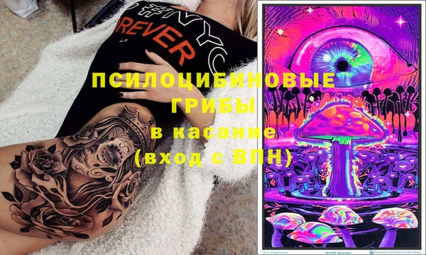 а пвп мука Нея
