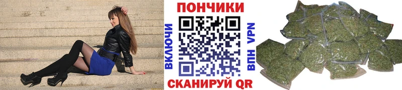 Канабис сатива Питкяранта