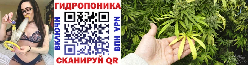 Марихуана планчик  Питкяранта 